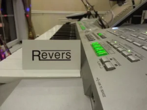 zespół Revers logo